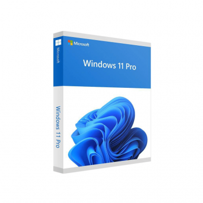 Windows 11 Pro